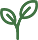 sensory-plant